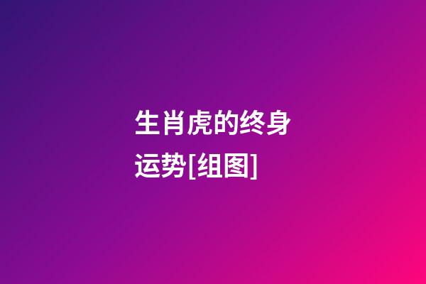 生肖虎的终身运势[组图]